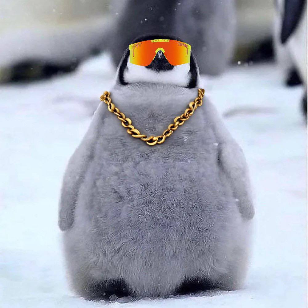 _jahxd's tweet photo. @blknoiz06 Gang $pengu become a top holder gcr literally gonna drop 8 figs if it gets to cex isnt that bullish asf @PenguCTO https://t.co/JB9lszWLor