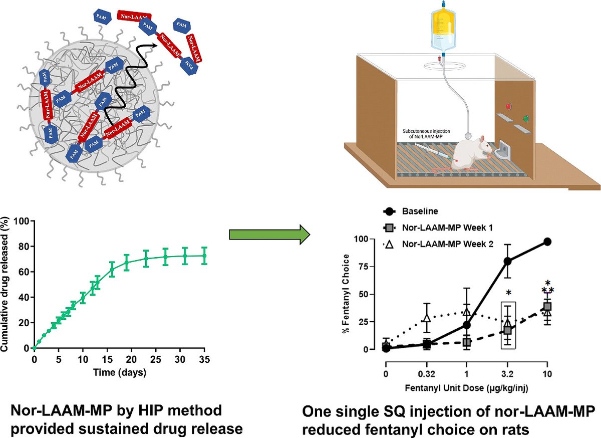 JCRnEDITORS's tweet photo. Nor-LAAM loaded PLGA microparticles for treating opioid use disorder.
| Qingguo Xu @VCU |
[50 days' free access]
#microparticle #PLGA #Opioid
https://t.co/TG8ciMQcnJ https://t.co/fRpJ2JeO5y