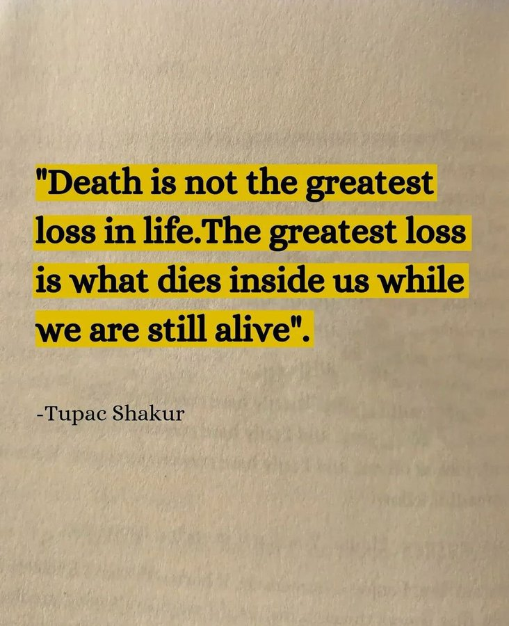 Mindful Maven (@mindfulmaven_) on Twitter photo 