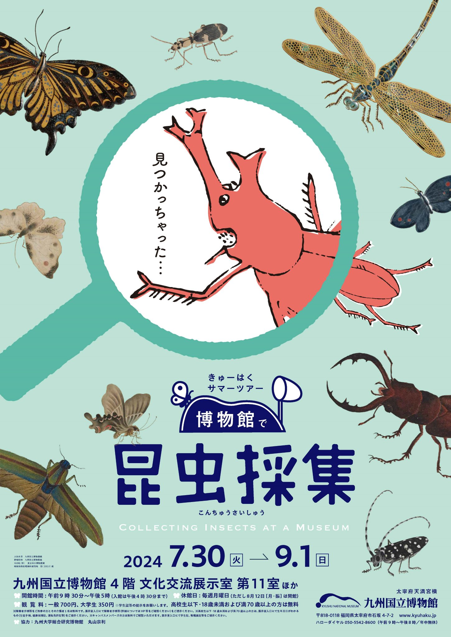 九重昆虫記 昆虫の心を探る 第9巻 71SSbrESqKL.jpg