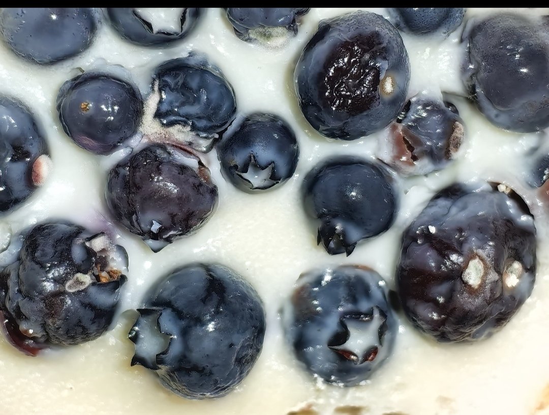 PazAndie's tweet photo. ¿@somosalsea qué paso con esos estándares de higiene y calidad? El día de ayer solicité un pedido en #Starbucks por medio de #UberEats y me llegó esto 🤢 https://t.co/OyJYC44ART