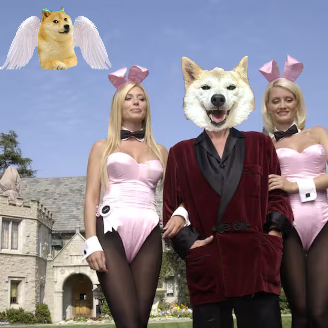 Neiro Inu tweet media