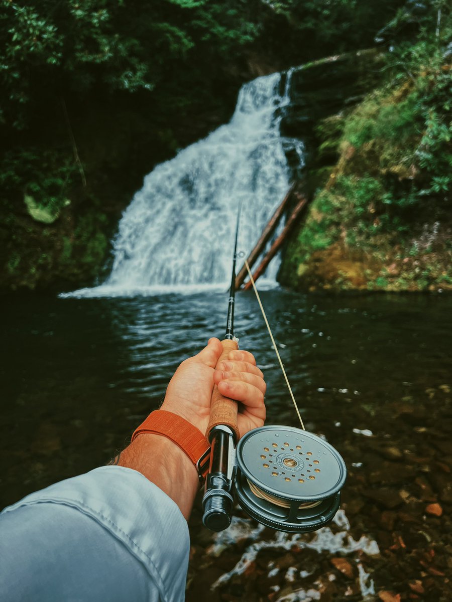 Kyle Anthony Miller tweet media