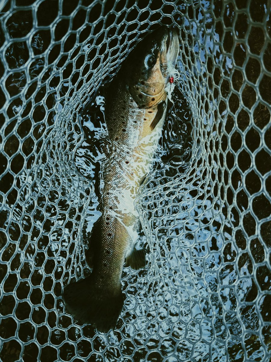 Kyle Anthony Miller tweet media