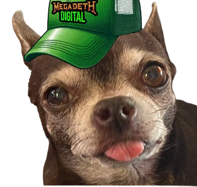 lawofthesaw's tweet photo. @MegadethDigital @__indigomusic meet Bella https://t.co/t00gwf8GoY