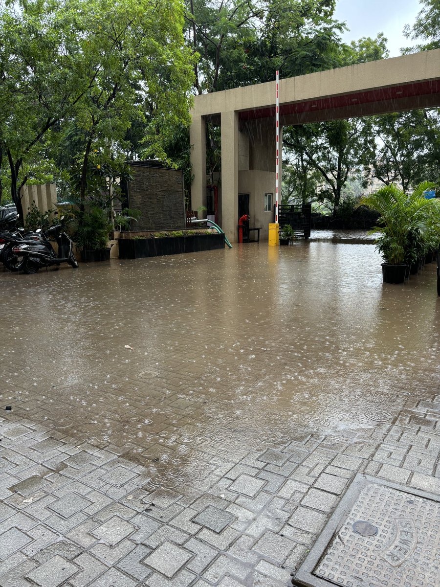 Pune Pulse (@pulse_pune) on Twitter photo Gulmohar Primrose Residents in Wagholi fix this water logging mess on their own using societies money and man power. Despite paying high taxes there is no help from <a href="/PMCPune/">PMC Care</a> <a href="/WagholiHSA/">Wagholi Hsg Soc Assoc (WHSA)</a> <a href="/WWFWagholi/">Wagholi Welfare Foundation</a>
<a href="/mieknathshinde/">Eknath Shinde - एकनाथ शिंदे</a> <a href="/AjitPawarSpeaks/">Ajit Pawar</a> <a href="/AshokPawarMLA/">Ashok Pawar</a> <a href="/kolhe_amol/">Dr.Amol Kolhe</a> <a href="/PMCPune/">PMC Care</a> #wagholi Gulmohar Primrose Residents in Wagholi fix this water logging mess on their own using societies money and man power. Despite paying high taxes there is no help from <a href="/PMCPune/">PMC Care</a> <a href="/WagholiHSA/">Wagholi Hsg Soc Assoc (WHSA)</a> <a href="/WWFWagholi/">Wagholi Welfare Foundation</a>
<a href="/mieknathshinde/">Eknath Shinde - एकनाथ शिंदे</a> <a href="/AjitPawarSpeaks/">Ajit Pawar</a> <a href="/AshokPawarMLA/">Ashok Pawar</a> <a href="/kolhe_amol/">Dr.Amol Kolhe</a> <a href="/PMCPune/">PMC Care</a> #wagholi