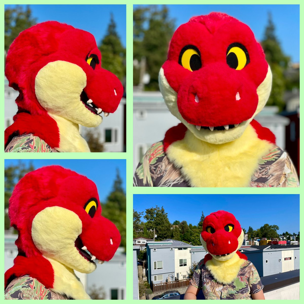 Alpine Anthropomorphics ❄️ (@alpineanthros) on Twitter photo Introducing Chomper the T-rex, an artistic liberty head only trade for <a href="/heckhoundzstudi/">heckhoundzstudio</a>! He features removable velcro eyelids, a hand carved foam base, resin teeth, and UV reactive fur from <a href="/HowlFabric/">Howl Fabric</a>. 🍒🦖 Introducing Chomper the T-rex, an artistic liberty head only trade for <a href="/heckhoundzstudi/">heckhoundzstudio</a>! He features removable velcro eyelids, a hand carved foam base, resin teeth, and UV reactive fur from <a href="/HowlFabric/">Howl Fabric</a>. 🍒🦖