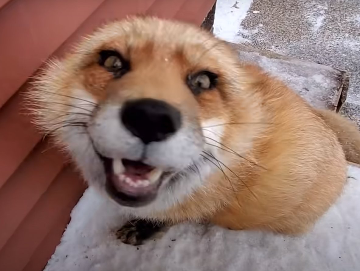 FoxUwUnion's tweet photo. https://t.co/1mxU90Vgcs