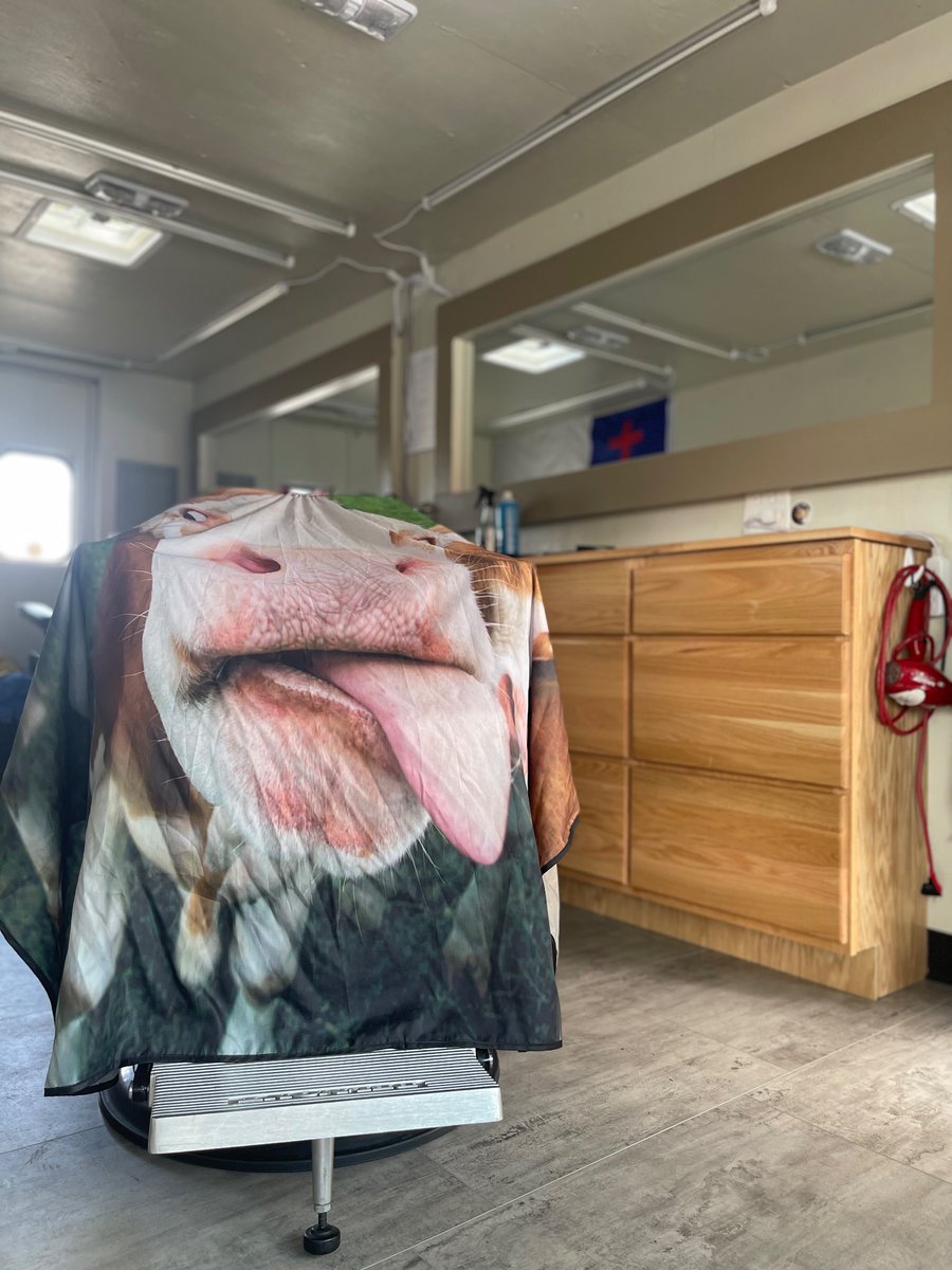 ThatBarberRicky's tweet photo. @elonmusk can you help me out and make a cyber van barbershop for @ Kingdom Cuts Ministries? Also when are you releasing a phone already? Geesh! https://t.co/RwcDDZ99Ae
