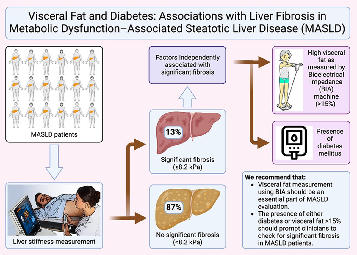 Journal of Clinical and Experimental Hepatology (@jceh_hepatology) on Twitter photo Research Article📜
Visceral Fat and Diabetes: Associations with Liver Fibrosis in Metabolic Dysfunction–Associated Steatotic Liver Disease (MASLD)
By <a href="/DrAshish_Kumar/">Dr Ashish Kumar</a> et al
jcehepatology.com/article/S0973-…
#LiverTwitter #GITwitter #Obesity Research Article📜
Visceral Fat and Diabetes: Associations with Liver Fibrosis in Metabolic Dysfunction–Associated Steatotic Liver Disease (MASLD)
By <a href="/DrAshish_Kumar/">Dr Ashish Kumar</a> et al
jcehepatology.com/article/S0973-…
#LiverTwitter #GITwitter #Obesity