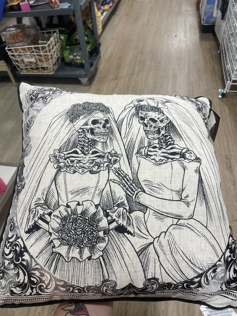 batsnlove's tweet photo. LESBIAN SKELETON PILLOW AT TJ MAXX!! https://t.co/Tjh6Tvol4l