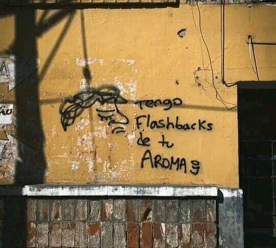 nxstypxet's tweet image. 