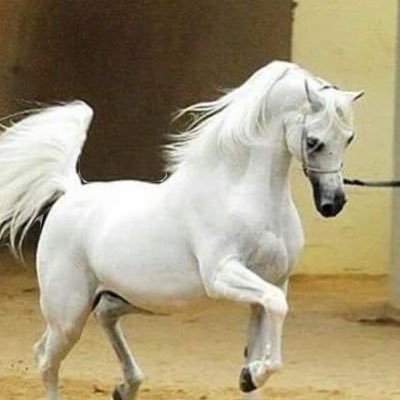 #صورة_جديدة_للملف_الشخصي