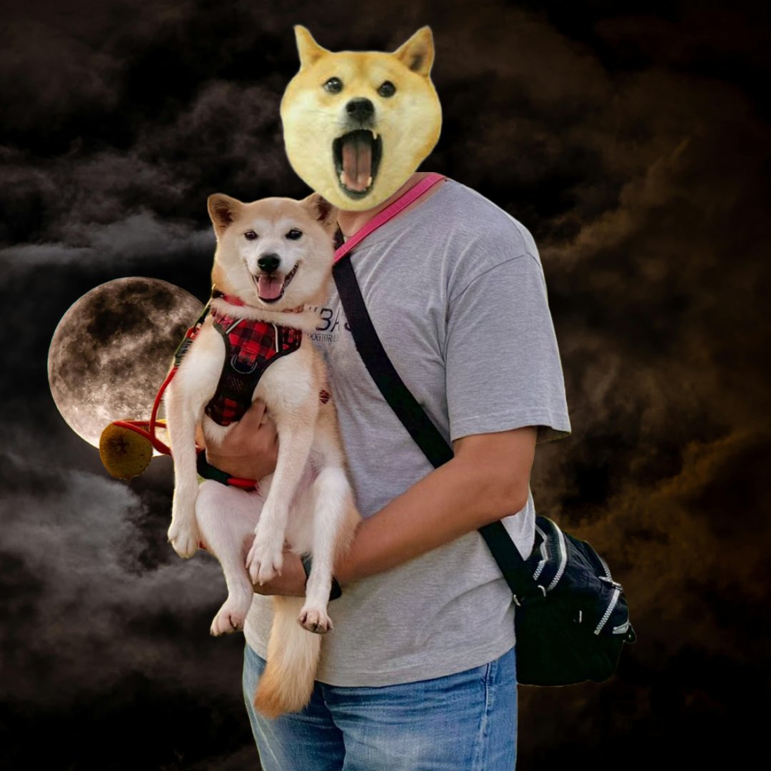 Neiro Inu tweet media