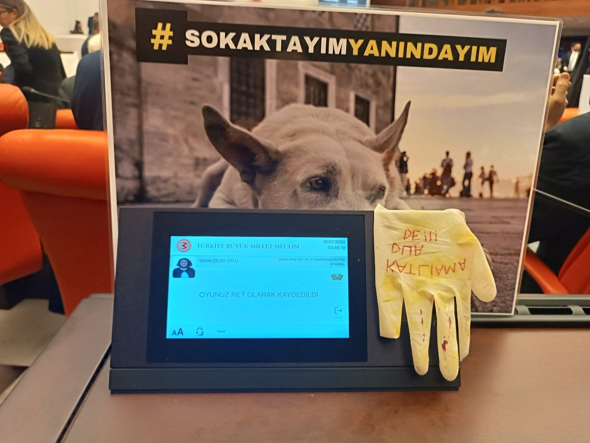 Yasayı Tanımıyoruz! 
Kanlı yasaya hayır! 
#YasaDegilCinayet 
#YaşamHakkıOylanamaz #BarınakÖlümDemek
#SOKAKHAYVANLARISAHİPSİZDEĞİL