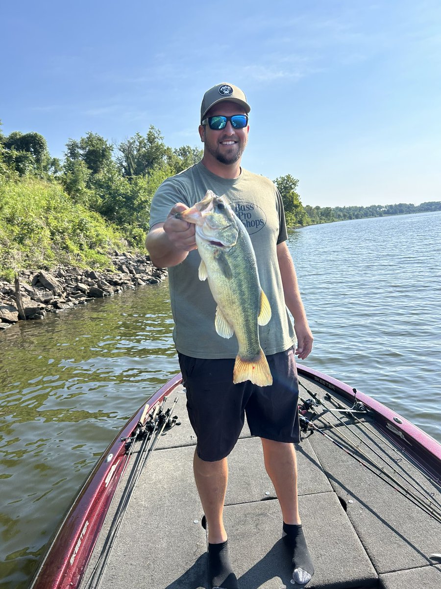 Adam Hamilton tweet media