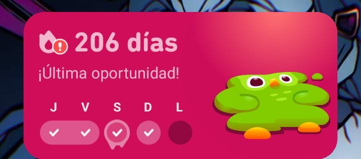LitoPero's tweet photo. Duolingo sabe cositas💯✨.
#29Julio #Venezolanos @duolingoespanol #MariaCorinaMachado #EdmundoPresidente #EdmundoLeGanó https://t.co/Sv6hjZGdrR