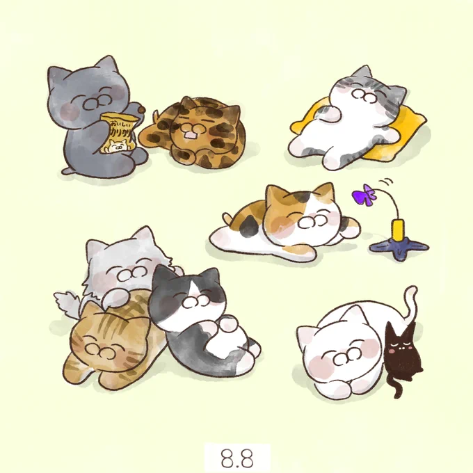8月8日【#世界猫の日】 世界はネコだらけWorld cat day