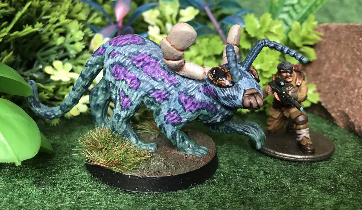 Attic Raiders Retro Reviews tweet media