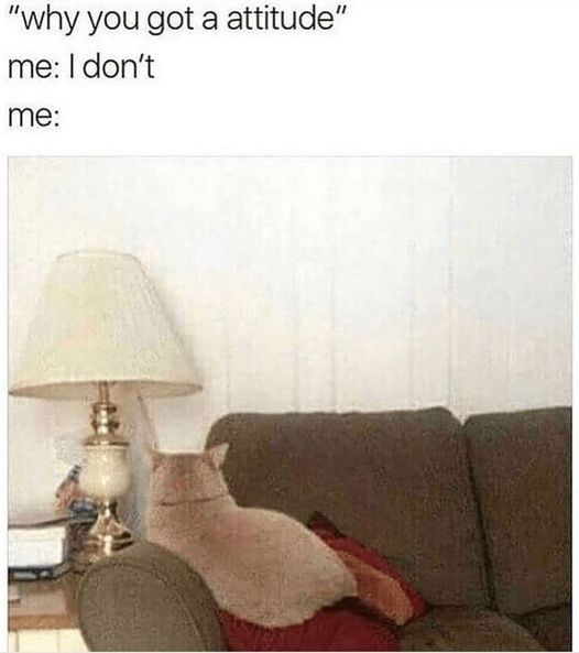 Justice 🍀 (@unionrebelms) on Twitter photo 