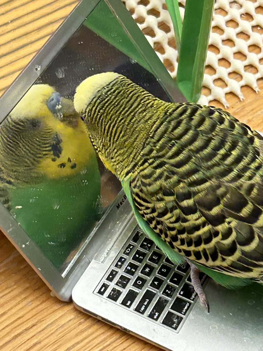 I am typing my own stuff on the ‘puter because mum is unreliable.
