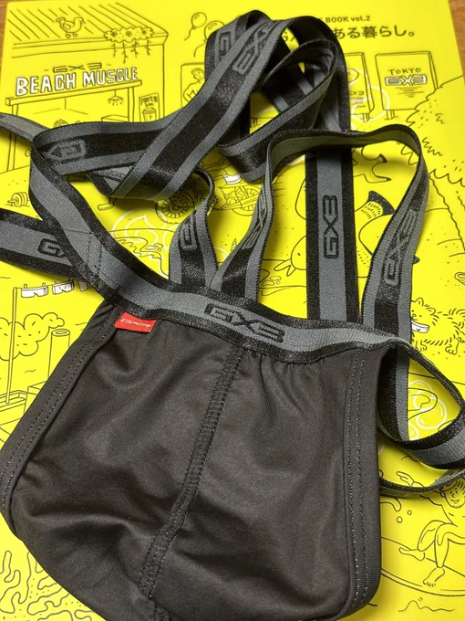 GX3のパンツ福袋買ってみたやつが届いた。ロンボクが一枚、ローライズボクサーが一枚、あとはビキニタイプだった。2枚目は「何よこれ!ほとんど紐じゃない!」ってなったやつ これ履くのは勇気いるなー… 