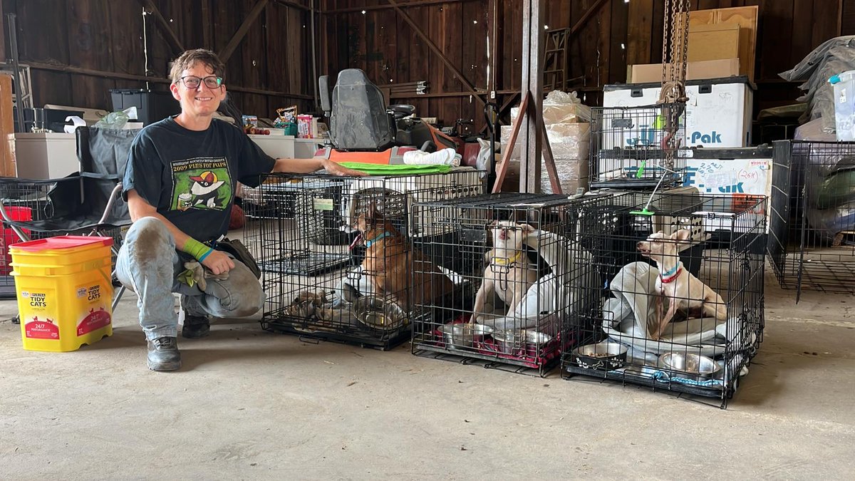 Good_vibes_up's tweet image. #PARKFIRE ANIMAL EVACUATION INFO TEHAMA COUNTY #CA 🙏🐾 #DAT 

From @CALFIRETGU / Tehama County Fire Department:

To all our incredible volunteers and community members, a huge THANK YOU for your unwavering dedication and support during this challenging time! 🙌🐾
Here are the