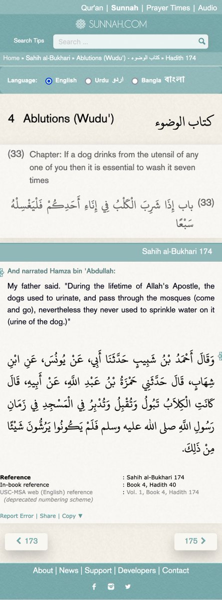 Sahih al-Bukhari 174 sunnah.com/bukhari:174 
During the lifetime of Allah's Apostle, the dogs used to urinate, and pass through the mosques.
#quranquotes #QuranMcCain  #qurantime