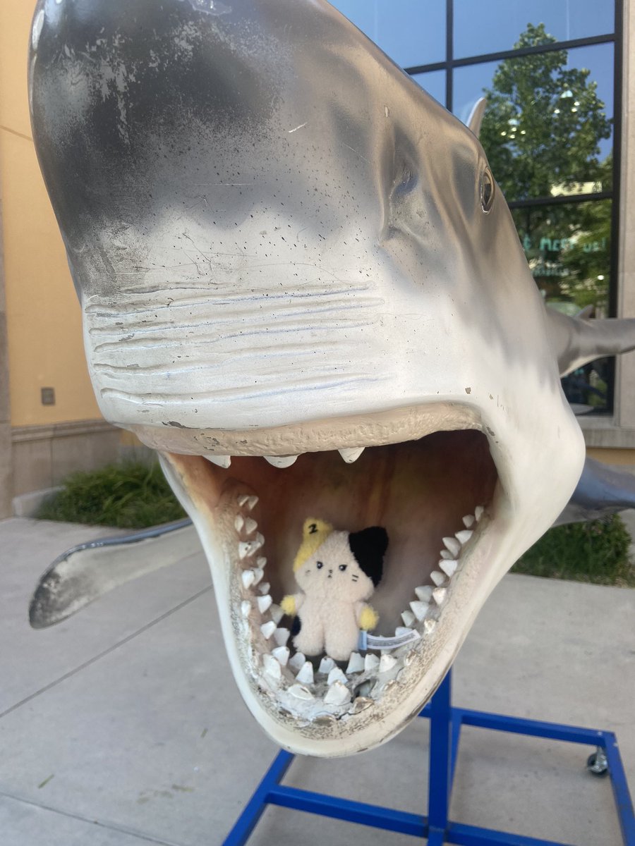 lovelickyjpeg's tweet image. NOOOO TAERAE DONT EAT RININI NOOOOOOOOOOOO