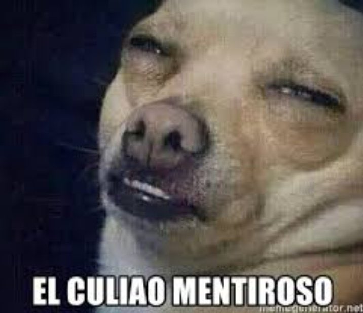 Carlutor tweet media
