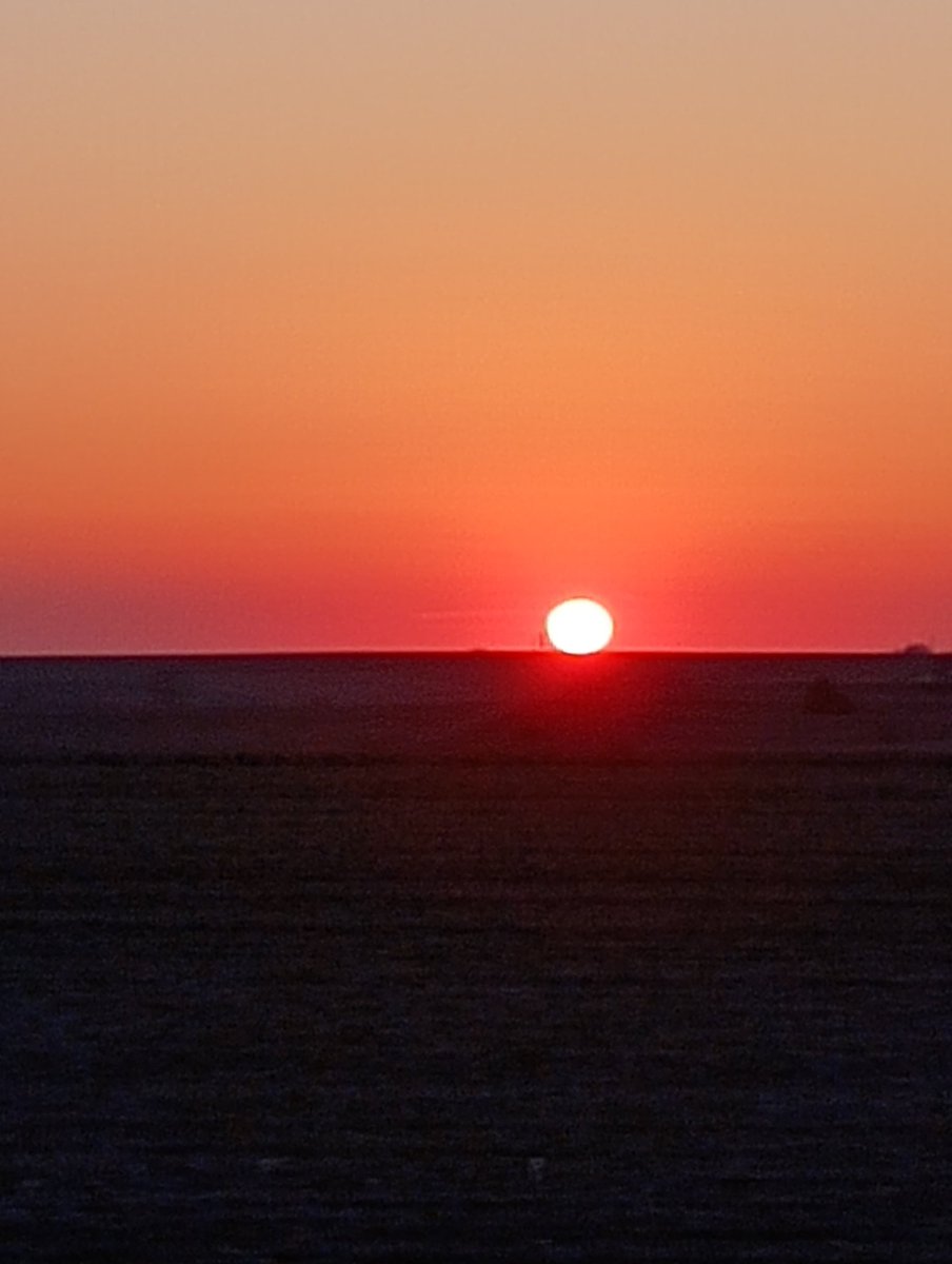 I hate to say this .....but I've been doing some thinking....... A LOT of thinking and I hate to say that the sun is going be set ....... FOR 29 OTHER SUPERSTARS WHEN BUSTER BLACK ENTERS THE RUTHLESS RUMBLE AND COME OUT ON TOP BEING THE FINAL THING HE NEEDS TO ACCOMPLISH..YEAAHH!