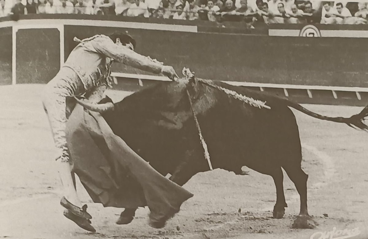 ⚫️ ⚫️ Ha fallecido Paco Camino a los 83 años de edad. Ha sido uno de los diestros más completos de la Historia del Toreo. Un auténtico maestro, grande entre los grandes. Deja un recuerdo imborrable. Descanse en paz.

#altoroporloscuernos🤘🏻