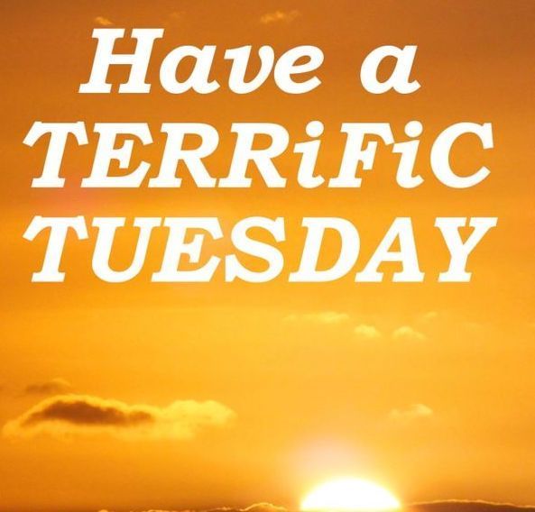 Good morning The Twitter have a terrific Tuesday