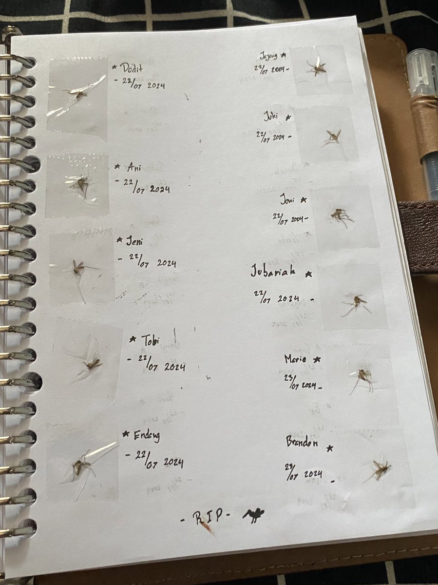 bibi บิว ✏️ *ੈ✩‧₊˚ tweet media