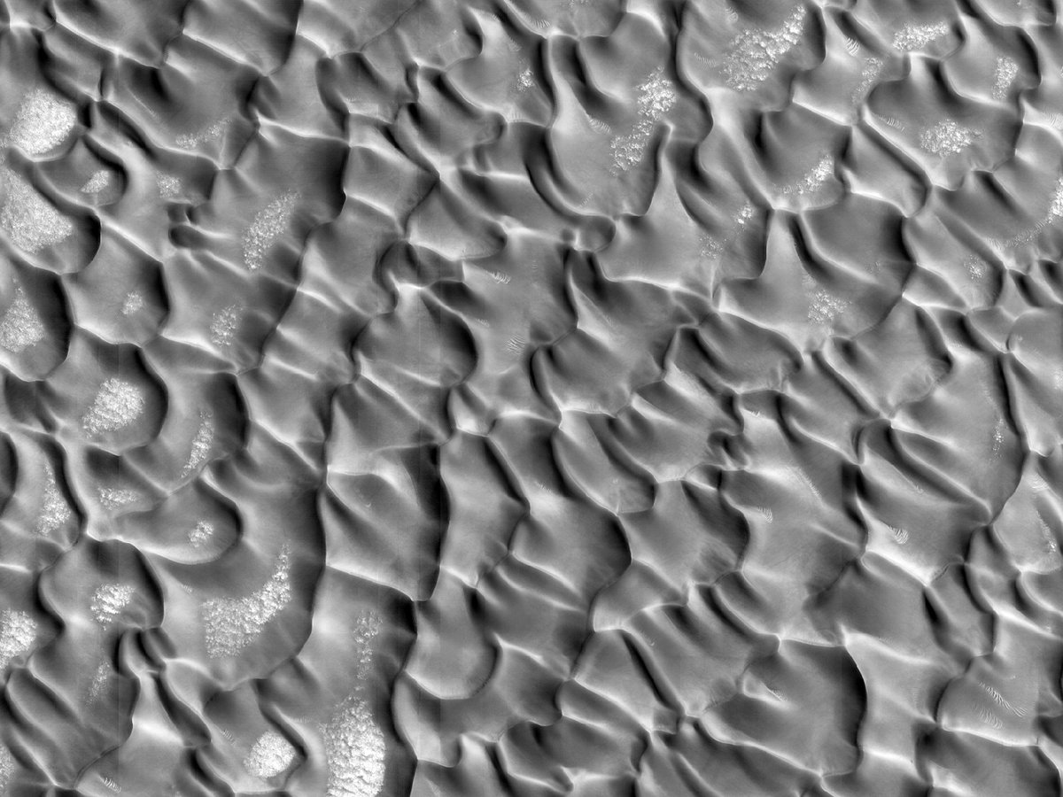 HiRISEDeutsch's tweet image. Dünenreich

Nummer: ESP_036253_2525
Erfassungsdatum: 21. April 2014
Distanz: 316 km

uahirise.org/hipod/de/ESP_0…
NASA/JPL-Caltech/University of Arizona
#Mars #NASA #Deutsch #German #Wissenschaft