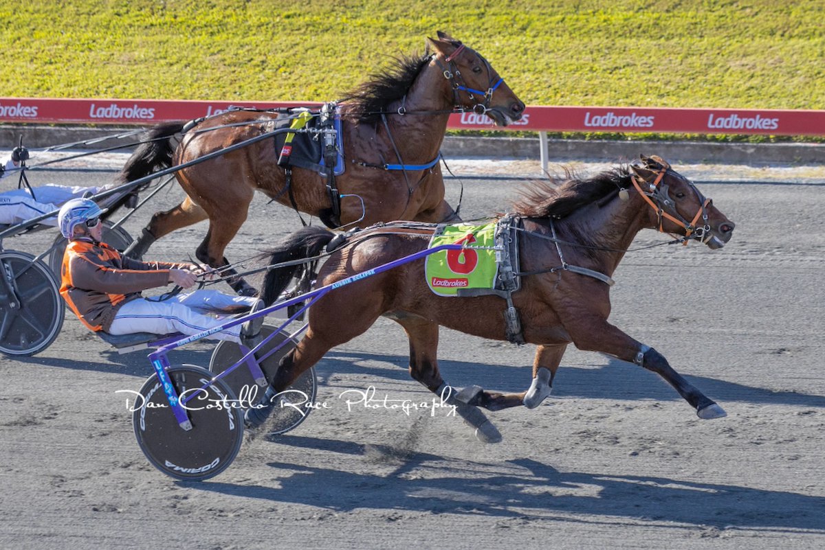 Dan Costello (@danracingwrap) on Twitter photo Back to back wins for trotter Hammer Son taking out race 4 <a href="/TheCreekAlbion/">The Creek</a> with <a href="/McmullenPeter/">peter mcmullen</a> for trainer Doug Lee <a href="/joedyk/">Joedy LEE</a> <a href="/AndrewCrisan74/">Andrew Crisan</a> Back to back wins for trotter Hammer Son taking out race 4 <a href="/TheCreekAlbion/">The Creek</a> with <a href="/McmullenPeter/">peter mcmullen</a> for trainer Doug Lee <a href="/joedyk/">Joedy LEE</a> <a href="/AndrewCrisan74/">Andrew Crisan</a>
