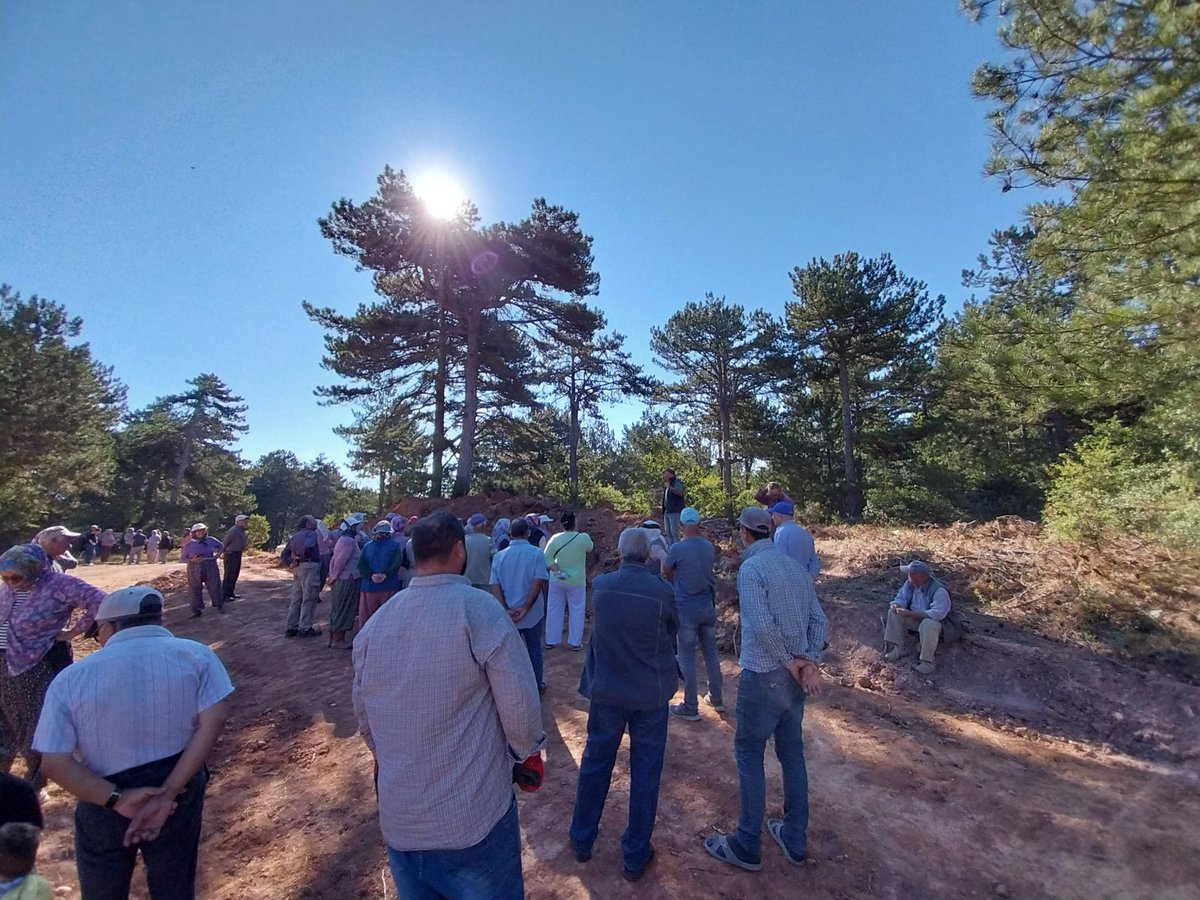 Kalemoğlu Ormanını Savunuyor tweet media