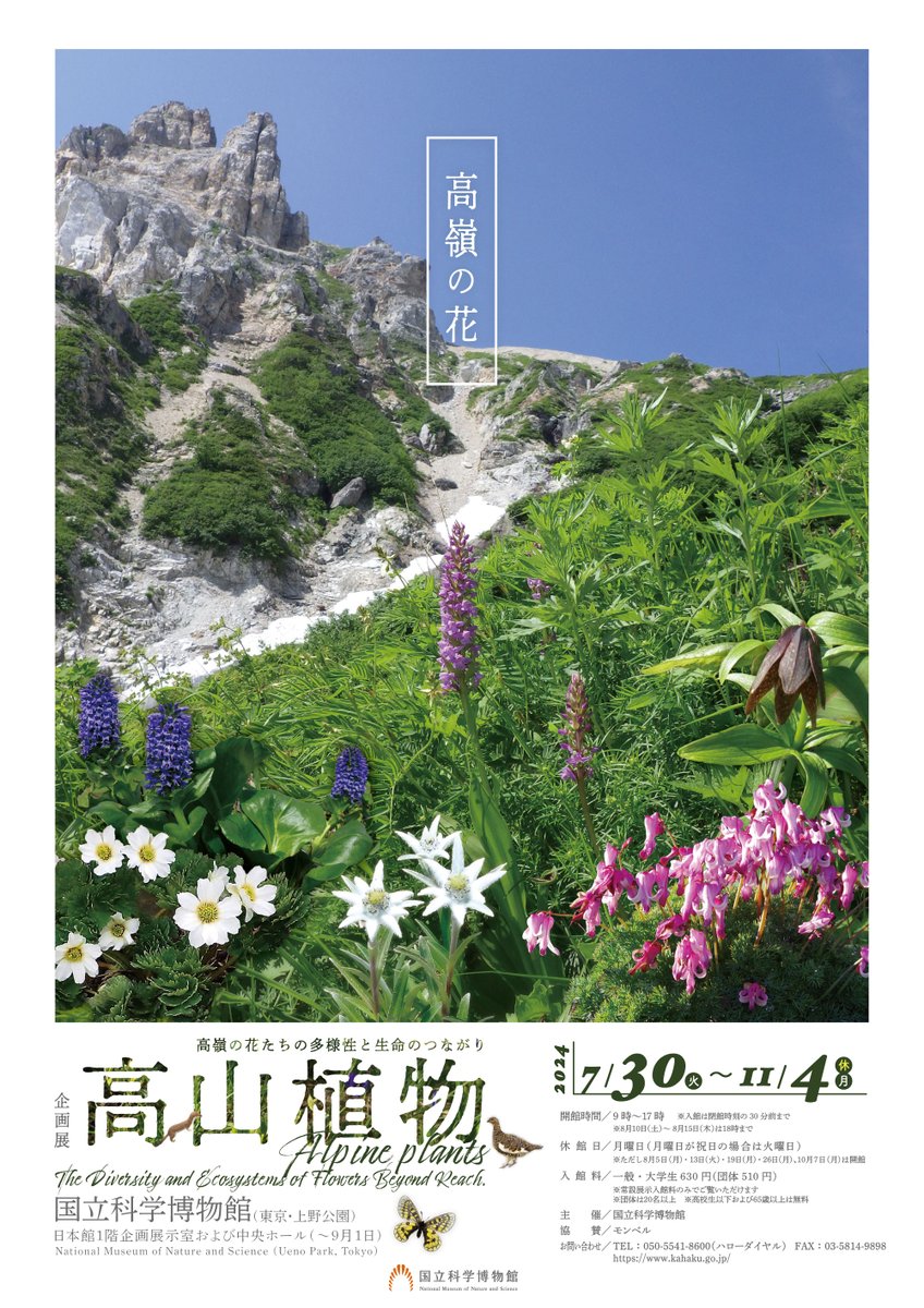 ✨🌿いよいよ本日開幕🌿✨ 企画展「高山植物～高嶺の花たちの多様性と