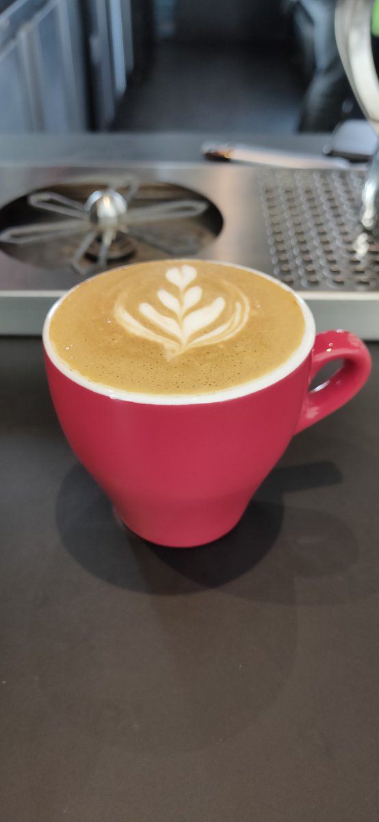 selamat pagi donna ~