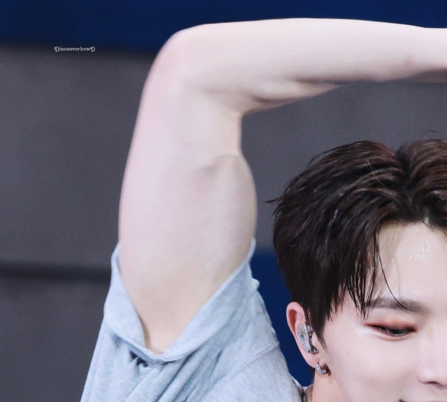 ARE YOU KIDDING MEEEE