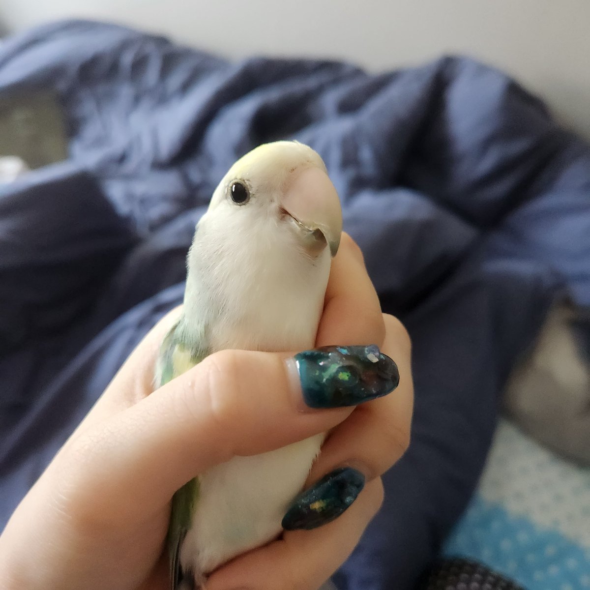 실물이 더 기여웠는데... 떼잉