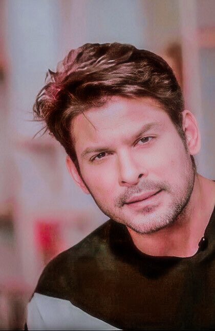 Maria_SidharthShukla_Forever tweet media