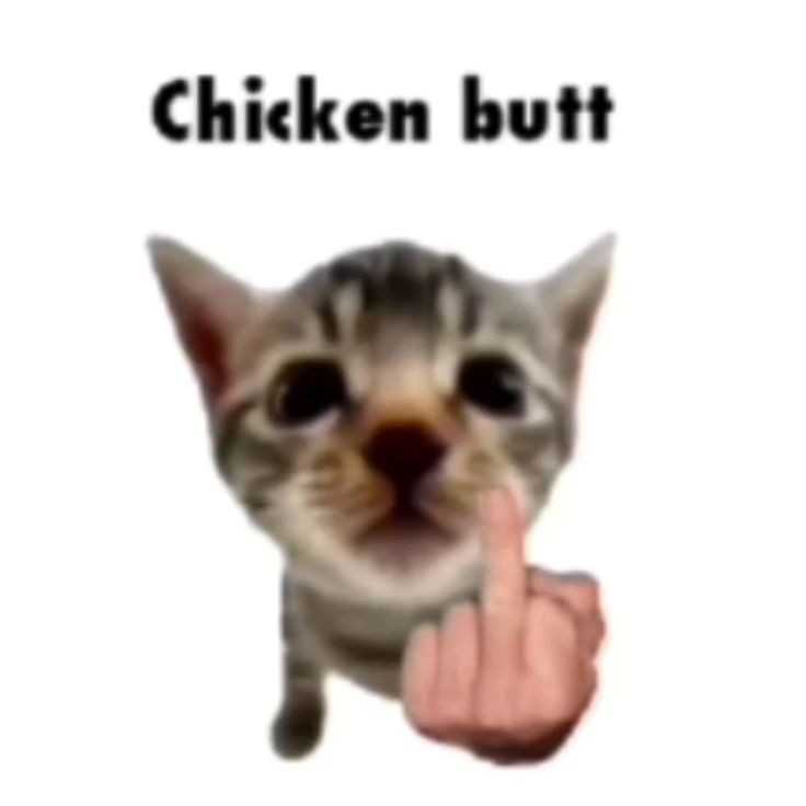 eggnog jr ^_^ tweet media