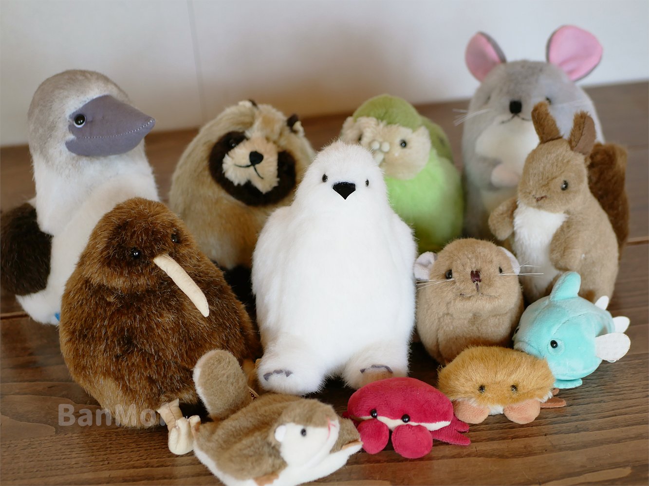 作家ばんばぱえりあ様作　エゾタヌキぬいぐるみ 作家ばんばぱえりあ様作 エゾタヌキぬいぐるみ エゾタヌキさん・作家