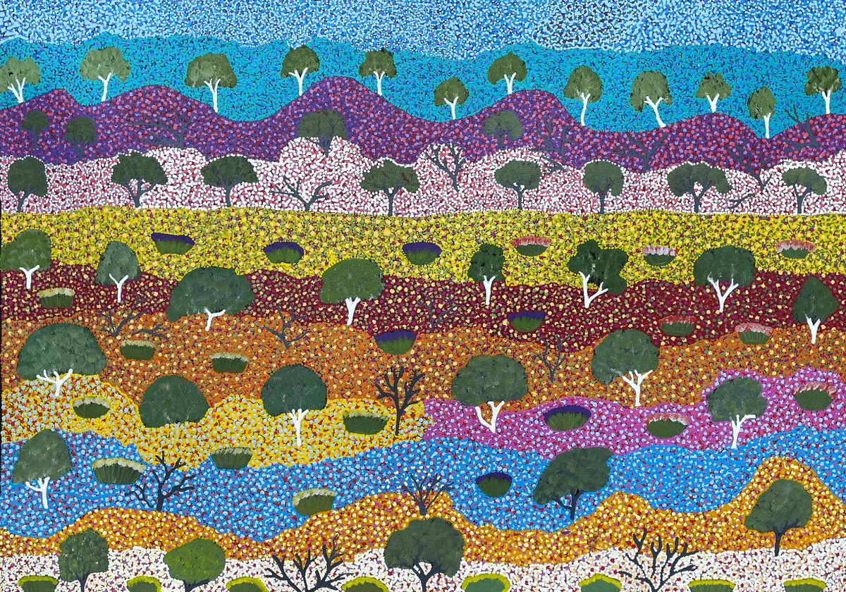Intricate landscape by Magdalene Kemarr Foster – 107x76 cm, Jap 023008 – now showing at Japingka. japingkaaboriginalart.com/collections/ep… Beautiful images of the Davenport Ranges and the bush food and medicine plants collected by the people there. Special thanks to Barkly Arts.