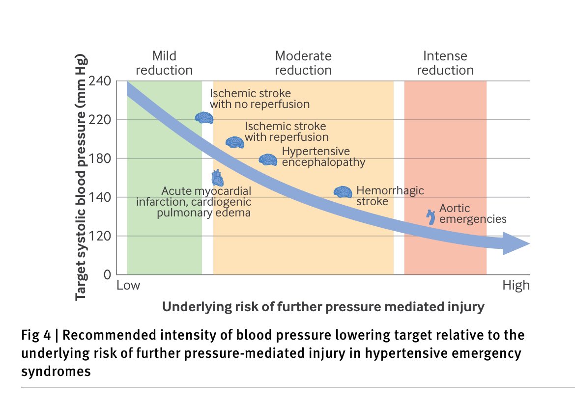 📌Evaluación y manejo de la emergencia hipertensiva

🧠 Se adapta, puede tolerar valores TAM&gt;150 mm Hg. Por eso el riesgo de lesión cerebral es bajo y el otros órganos
 
🚨con el descenso agresivo de la TA

•Síntomas cardiovasculares: 26% angina; 29% disnea

😉Si no hay