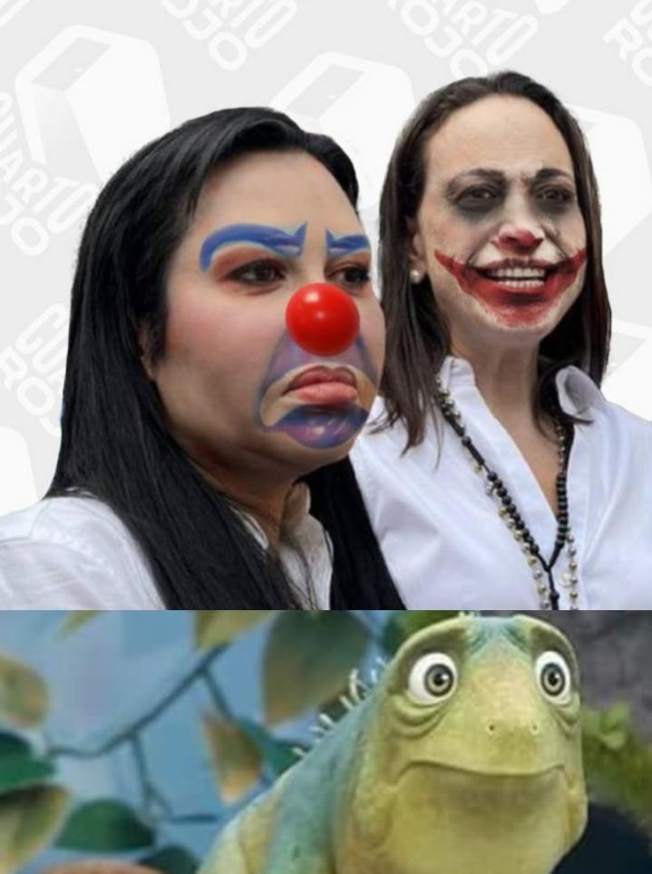 María Corina Machado vas presa  te esperan unas vacaciones en el calabozo

Venezuela es territorio de paz y la garantiza Nicolás Maduro 

Podrán derrumbar  estatuas pero jamás derrumbaran al pueblo de Chávez 

Miraflores
Petare
Fuerte tiuna
Caracas 
Guardia nacional 
Aragua