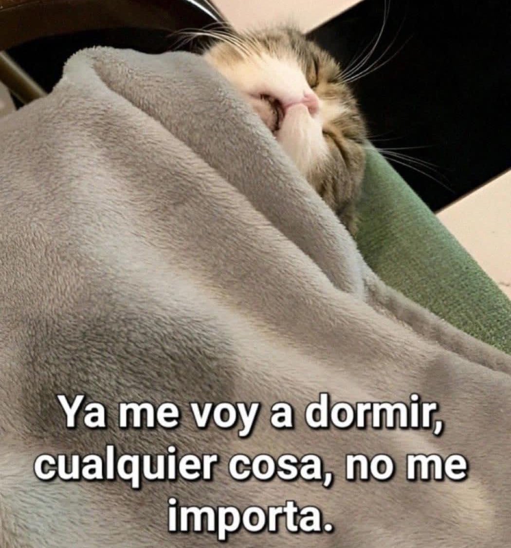 PinkMojitow's tweet image. Nunca había visto una pelea tan más de FLOJERA como la de los religiosos ofendidos y los “ateos paganos ofensores” al rato que me quiera dormir los leo.  #católicos #paganos