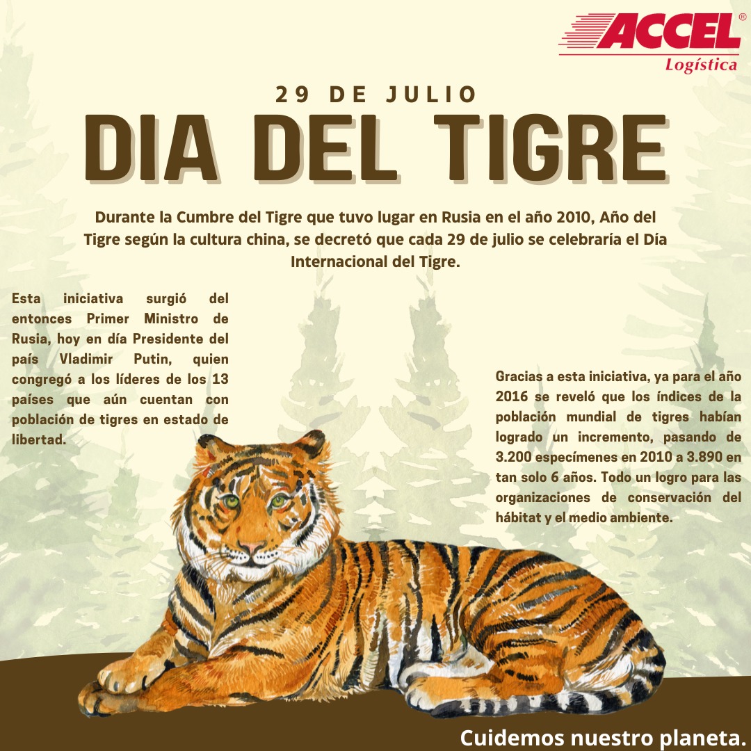 Accel Logistica tweet media