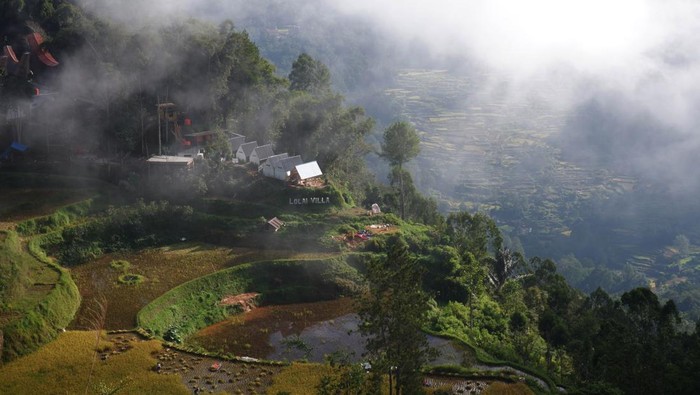 detikTravel's tweet photo. #Foto Pemerintah Toraja Utara menata kawasan Puncak Lolai untuk wisata alam! ⛰️

Bagi yang mau ke sini, detikers bisa santai sambil melihat panorama Toraja Utara! 👀

>> https://t.co/QT8fuhdfxH

Foto : ANTARA FOTO

#detikTravel #placetogo #toraja #utara #puncak #lolai https://t.co/gPZpNwslnv